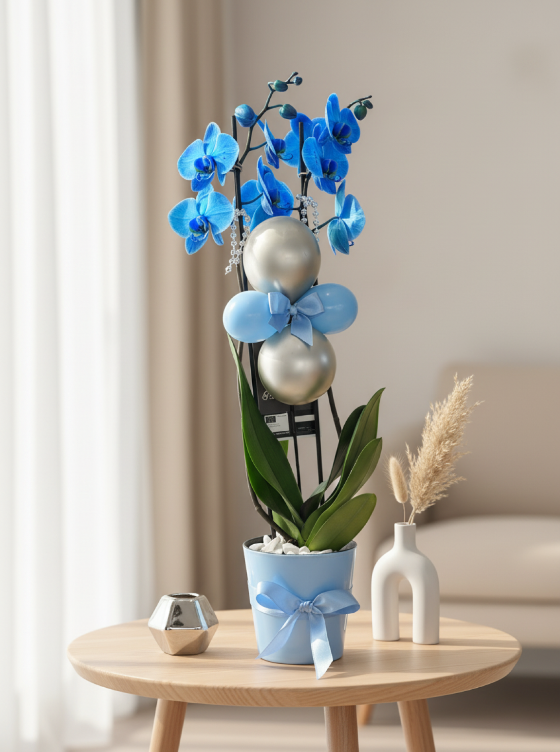 Hoş Geldin Minik Prens Orkidesi