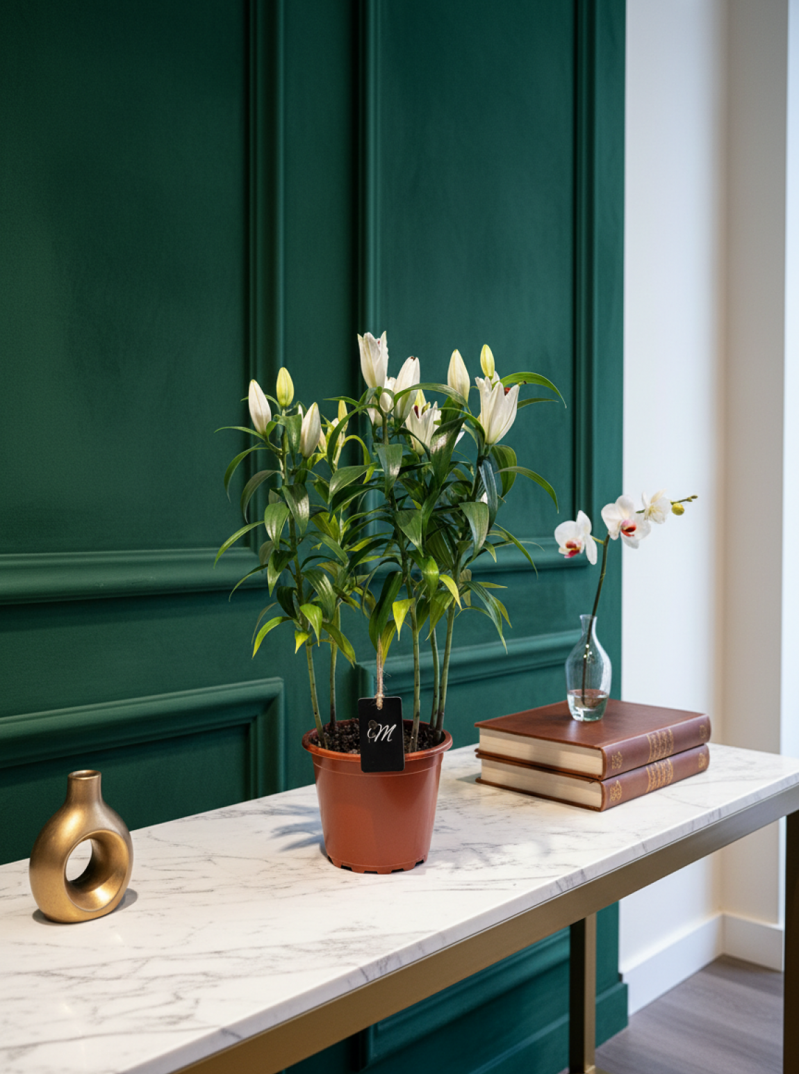 Saksıda Beyaz Lilyum